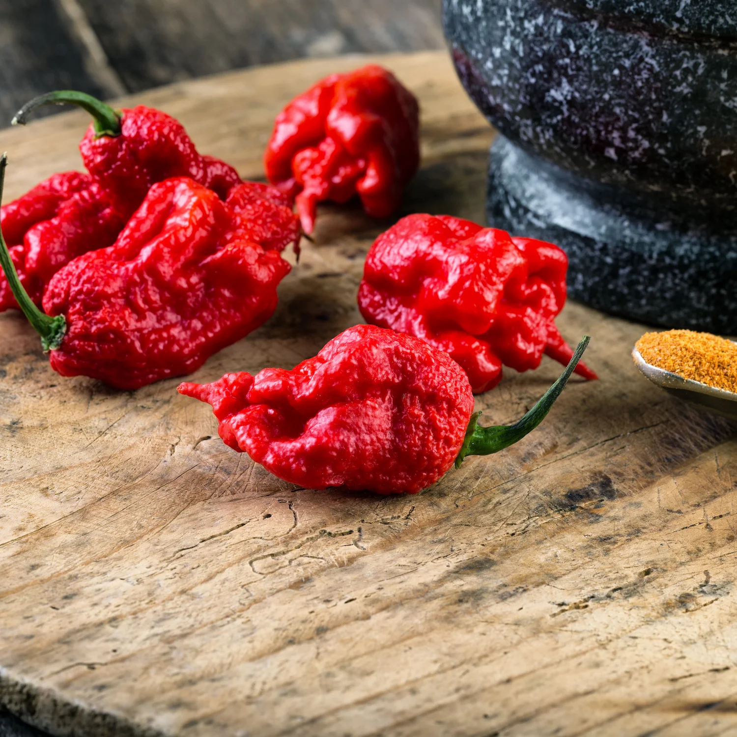 Sauce pimentée Carolina Reaper - Force 12/12 - 100 ml