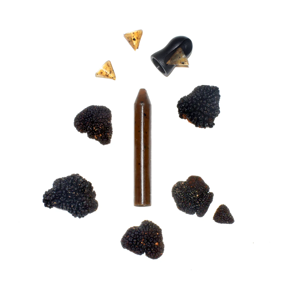 Crayon Bio d'assaisonnement à la Truffe noire