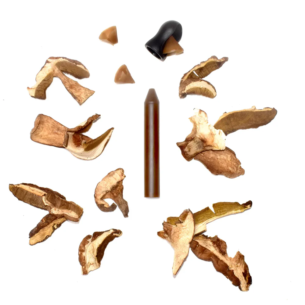 Crayon Bio d'assaisonnement aux Cèpes