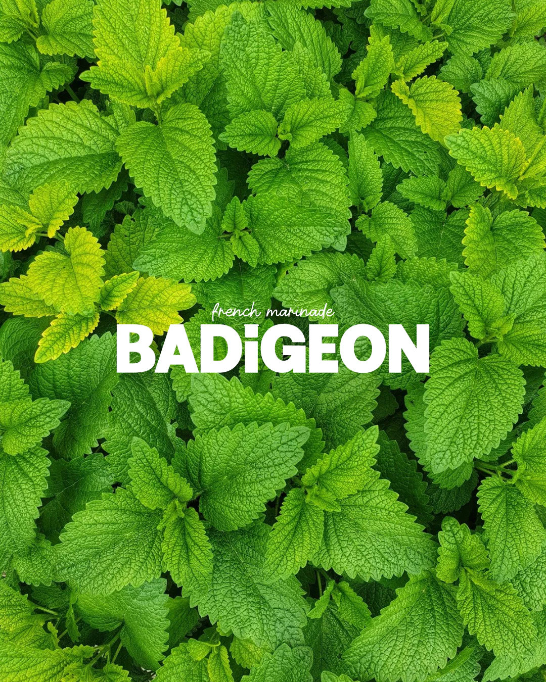 Marinade Gingembre & Menthe